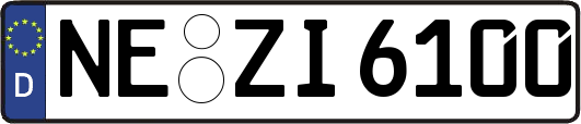 NE-ZI6100