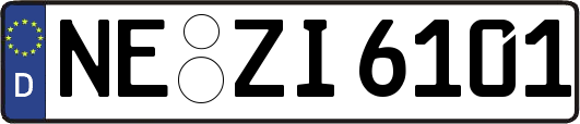 NE-ZI6101
