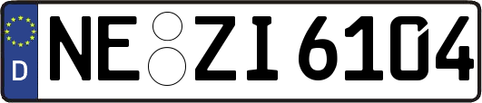 NE-ZI6104