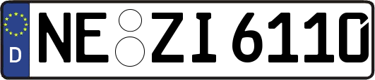 NE-ZI6110