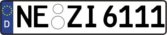 NE-ZI6111