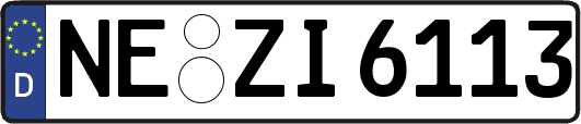 NE-ZI6113