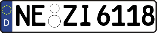 NE-ZI6118