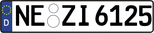 NE-ZI6125