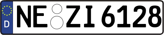 NE-ZI6128