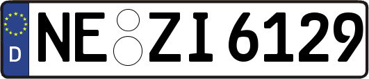 NE-ZI6129