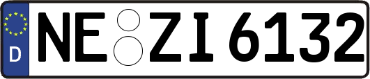 NE-ZI6132