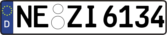 NE-ZI6134