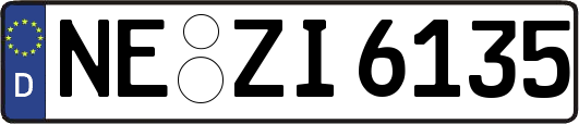 NE-ZI6135