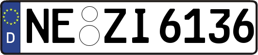 NE-ZI6136