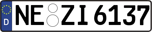 NE-ZI6137