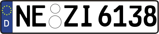 NE-ZI6138
