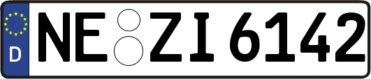 NE-ZI6142