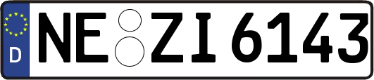 NE-ZI6143