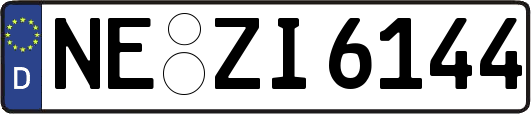 NE-ZI6144