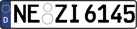 NE-ZI6145