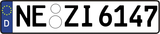 NE-ZI6147