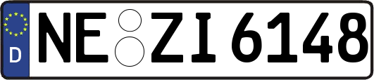 NE-ZI6148