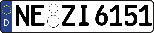 NE-ZI6151