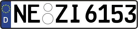 NE-ZI6153