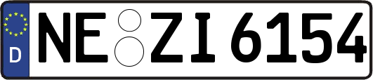 NE-ZI6154