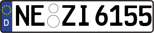 NE-ZI6155