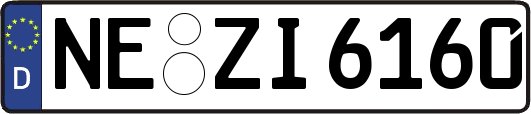 NE-ZI6160