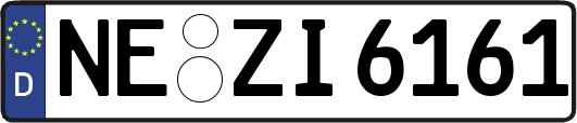 NE-ZI6161