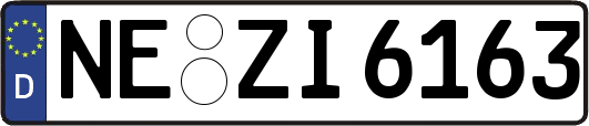 NE-ZI6163