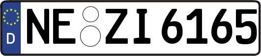 NE-ZI6165