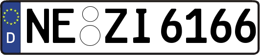 NE-ZI6166