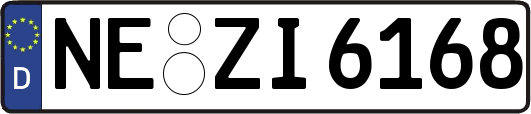 NE-ZI6168