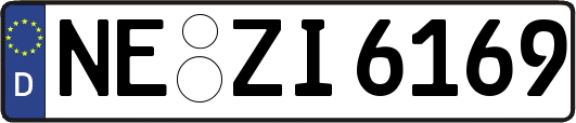 NE-ZI6169