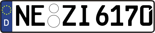 NE-ZI6170