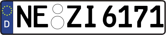 NE-ZI6171