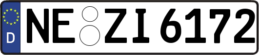 NE-ZI6172