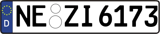 NE-ZI6173
