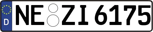 NE-ZI6175