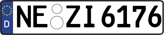 NE-ZI6176