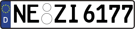 NE-ZI6177