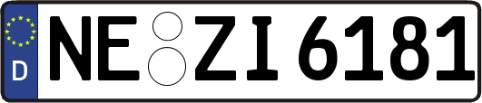 NE-ZI6181