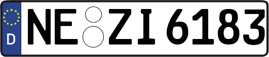 NE-ZI6183