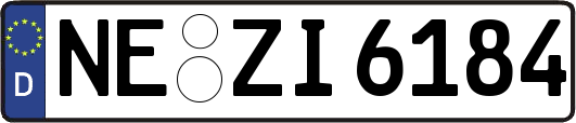 NE-ZI6184