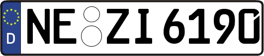NE-ZI6190