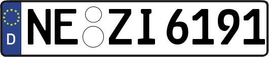 NE-ZI6191
