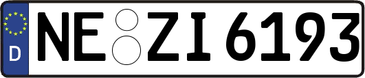 NE-ZI6193