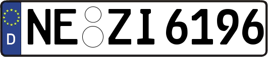 NE-ZI6196
