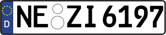 NE-ZI6197