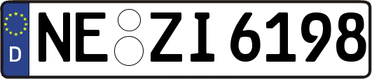 NE-ZI6198