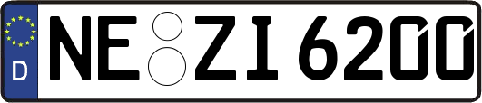 NE-ZI6200